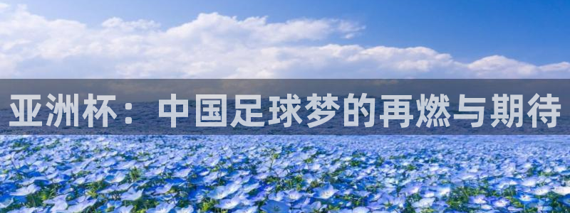 世界杯第一场比赛：亚洲杯：中国足球梦的再燃与期待