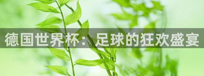世界杯直播观看：德国世界杯：足球的狂欢盛宴