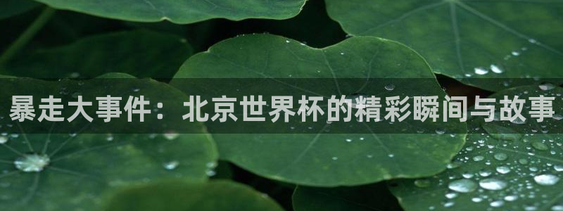 世界杯预选赛赛程表：暴走大事件：北京世界杯的精彩瞬间与故事