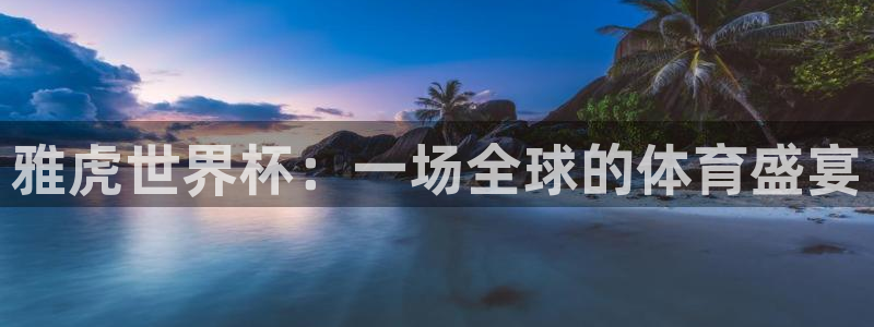 男足世界杯预选赛赛程：雅虎世界杯：一场全球的体育盛宴