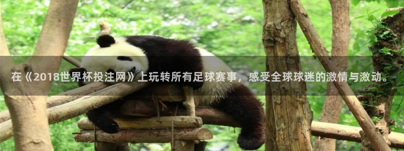 世界杯比赛赛程：在《2018世界杯投注网》上玩转所有足球赛事，感受全球球迷的激情与激动。