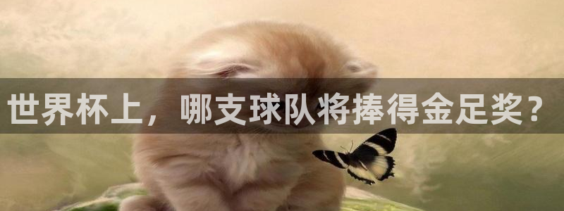 2026 世界杯：世界杯上，哪支球队将捧得金足奖？