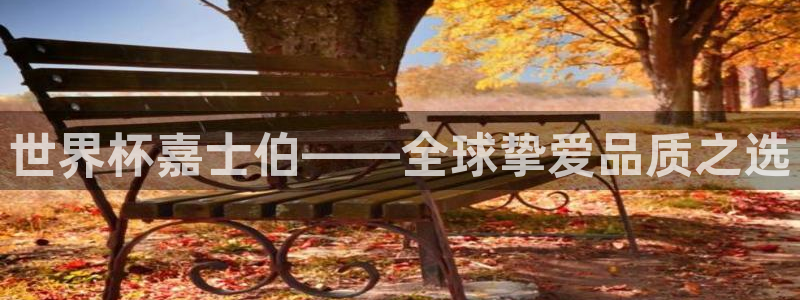 看世界杯：世界杯嘉士伯——全球挚爱品质之选