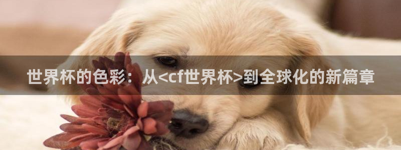 世界杯比赛直播：世界杯的色彩：从<cf世界杯>到全球化的新篇章