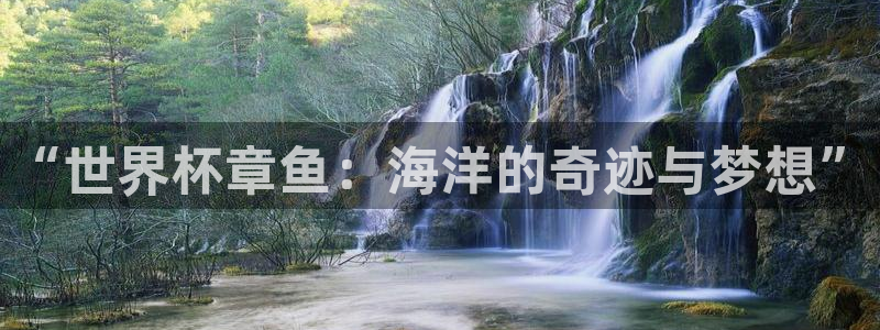 2026世预赛赛程表:“世界杯章鱼:海洋的奇迹与梦想”