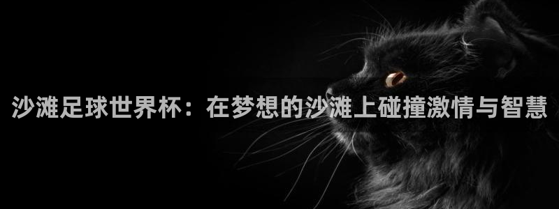 世界杯预选赛排名：沙滩足球世界杯：在梦想的沙滩上碰撞激情与智慧