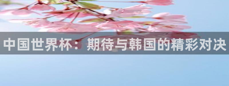 世预赛直播：中国世界杯：期待与韩国的精彩对决