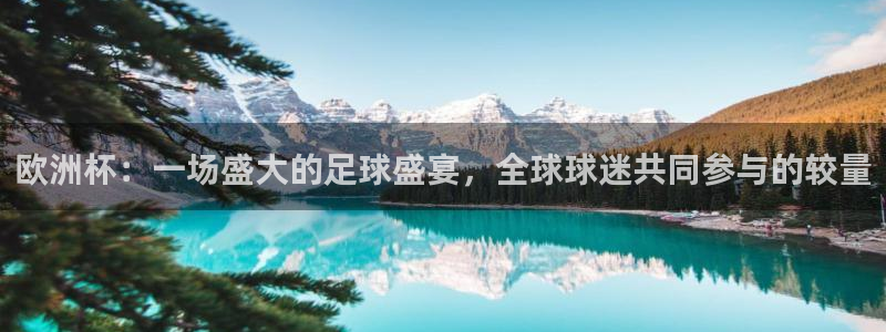 2026年世界杯直播平台：欧洲杯：一场盛大的足球盛宴，全球球迷共同参与的较量