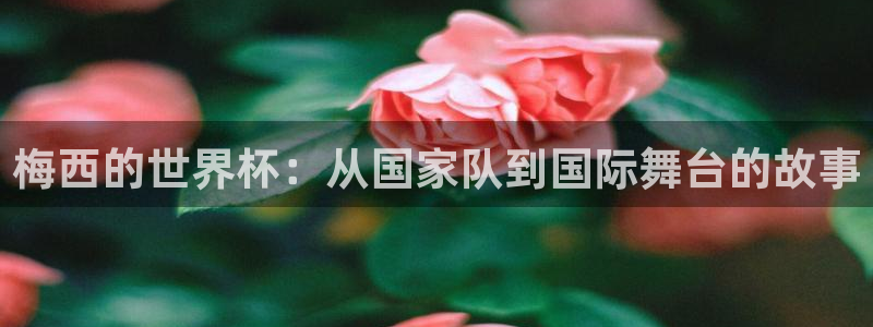 世界杯2026赛程表：梅西的世界杯：从国家队到国际舞台的故事