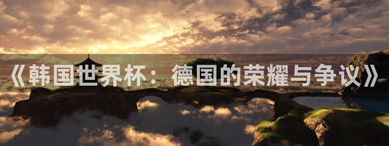 世预赛欧洲赛程表：《韩国世界杯：德国的荣耀与争议》
