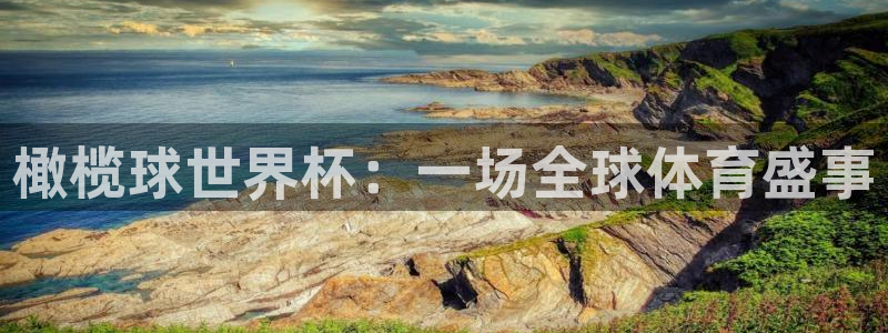 世预赛免费直播入口：橄榄球世界杯：一场全球体育盛事