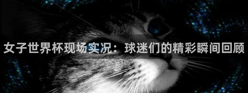 世界杯官网入口：女子世界杯现场实况：球迷们的精彩瞬间回顾